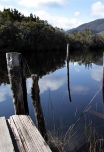 Melaleuca, Bathurst Harbour