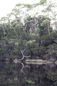 The reflections on the water were stunning
