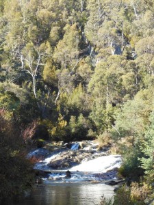 A waterfall we found in the bush near Launceston