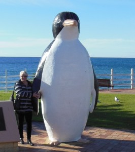 Penquin... a beautiful little town 