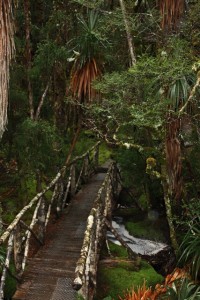 On one of the many walks that can be done 