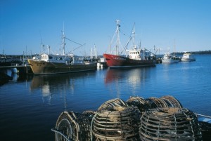 Fishing boats at St Helens