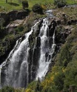 Waratah Falls