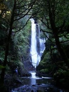 The bottom of Waratah Falls