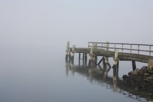 So peaceful.... just across the river from here was a home we really liked, except we love Hobart more than Launceston. We will instead enjoy staying here for a few days in our portable holiday home (the caravan) 