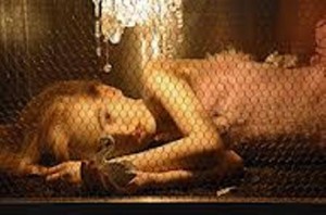 VERY controversial art