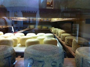 Some of the cheeses at Bruny Island Cheese Company