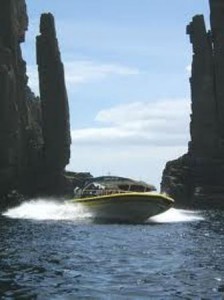 Bruny Island Cruises.... well worth doing !!!