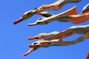 "Birds in flight".... art gallery in Hobart