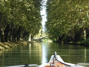 Beautiful old trees lined much of the canal