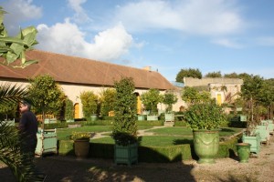 The orangery... all the fruit trees are taken inside the orangery to protect them from the winter snow