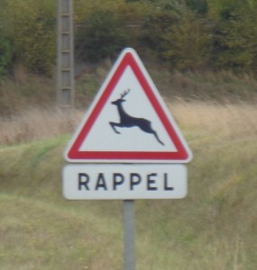 While driving along, this sign reminded me so much od Tasmania except the language