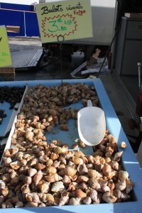 Snails of some kind for sale at the markets