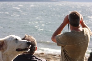 Watching Wild Oats win the Sydney to Hobart race again this year