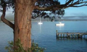 A jetty at Bruny Island