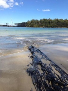 Stewarts Bay Port Arthur