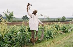 I need this at home to scare the possums away ?????