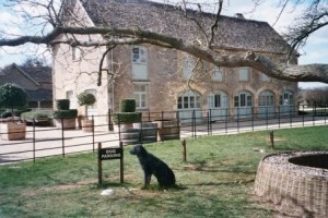 Daylesford.... "Dog Parking"...Molly would love it