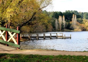 The lake at Daylesford.... it is colder here than Tassie !!!!