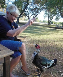 Feeding "Norman" the duck at Makaranka