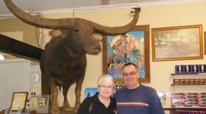 The buffalo inside the Adelaide River Pub...famous in Crocodile Dundee 