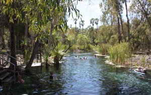 The hot springs at Mataranka were wonderful. We enjoyed swimming in them so much we stayed an extra day.