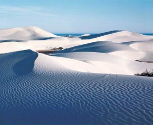 Nullarbor sand hills