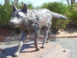 Red Dog monument in Dampier.  "The Pilbara Wanderer", Died Nov 21, 1979. We loved the movie, but it is such a sad story.