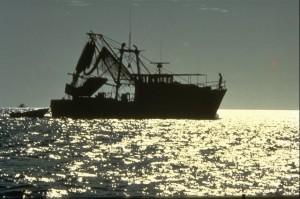 Fishing boat at Exmouth... we bought some yummy fresh prawns here for dinner