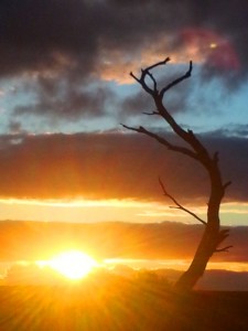 One of my favourite sunset shots